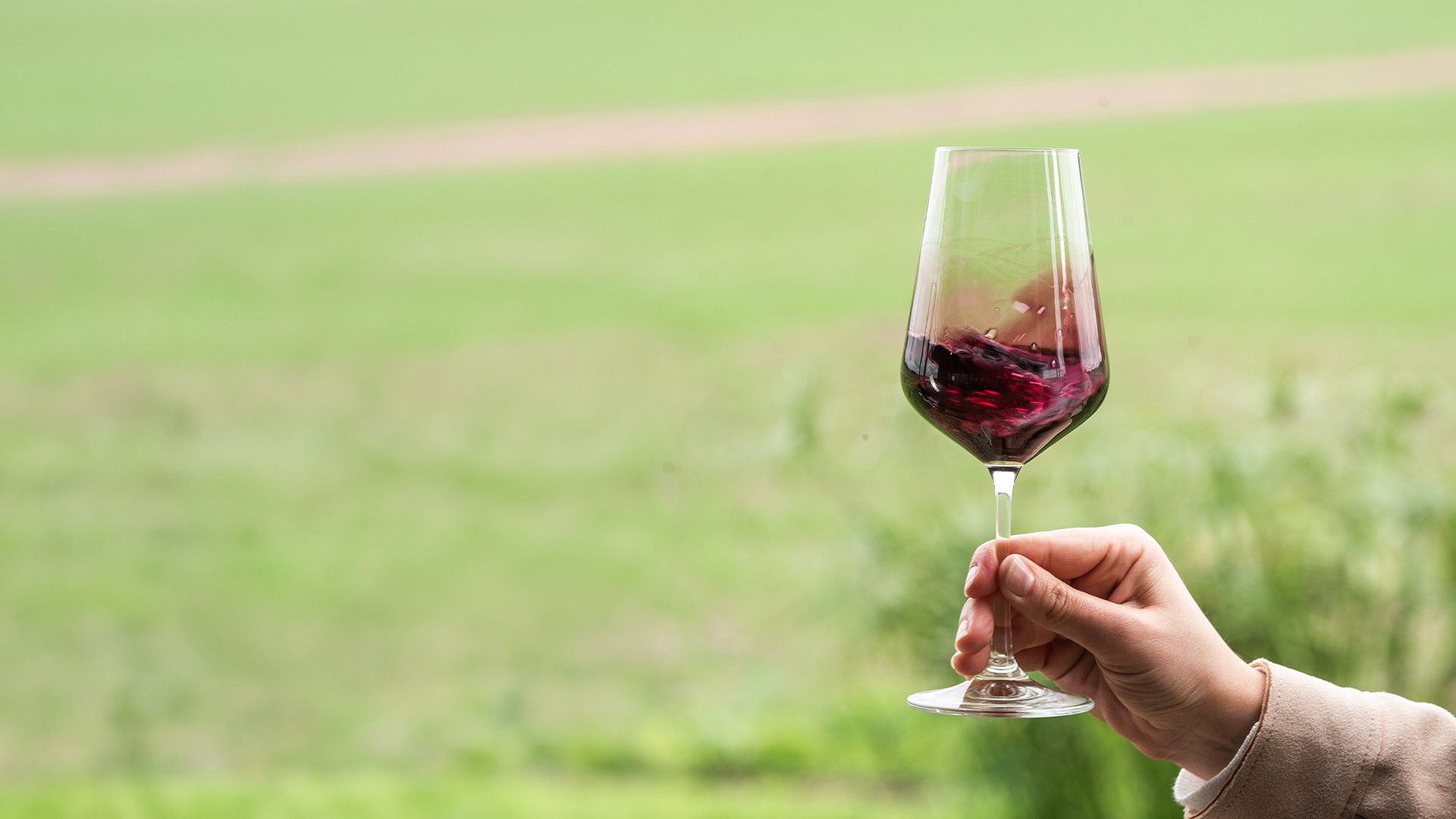 Copa de vino tinto Baioni en el viñedo de Canelón Chico
